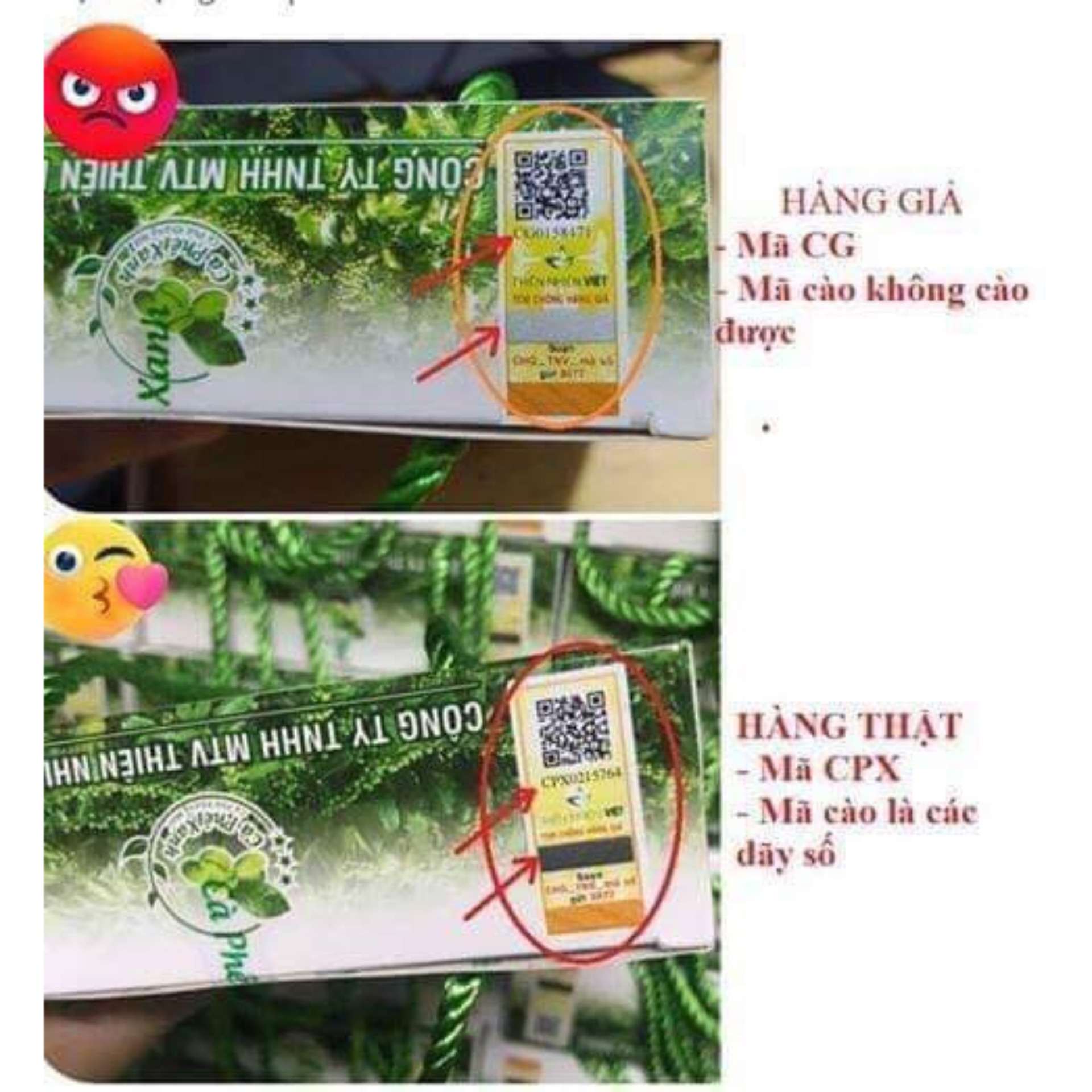 combo 5 hộp cà phê xanh