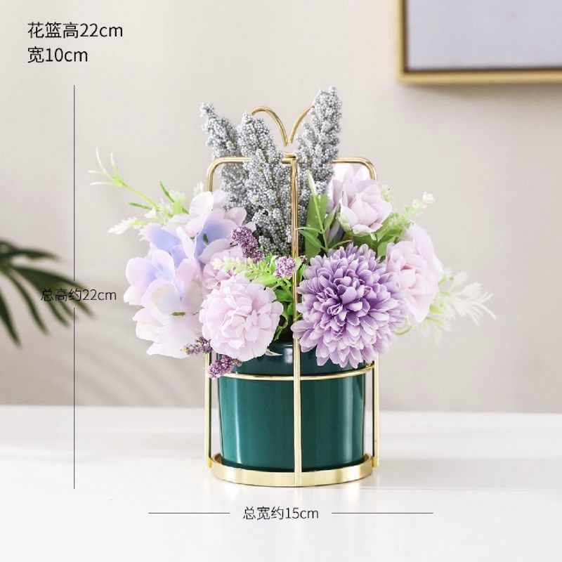 Chậu Lan Hồ Điệp , hoa lan cao su cao cấp