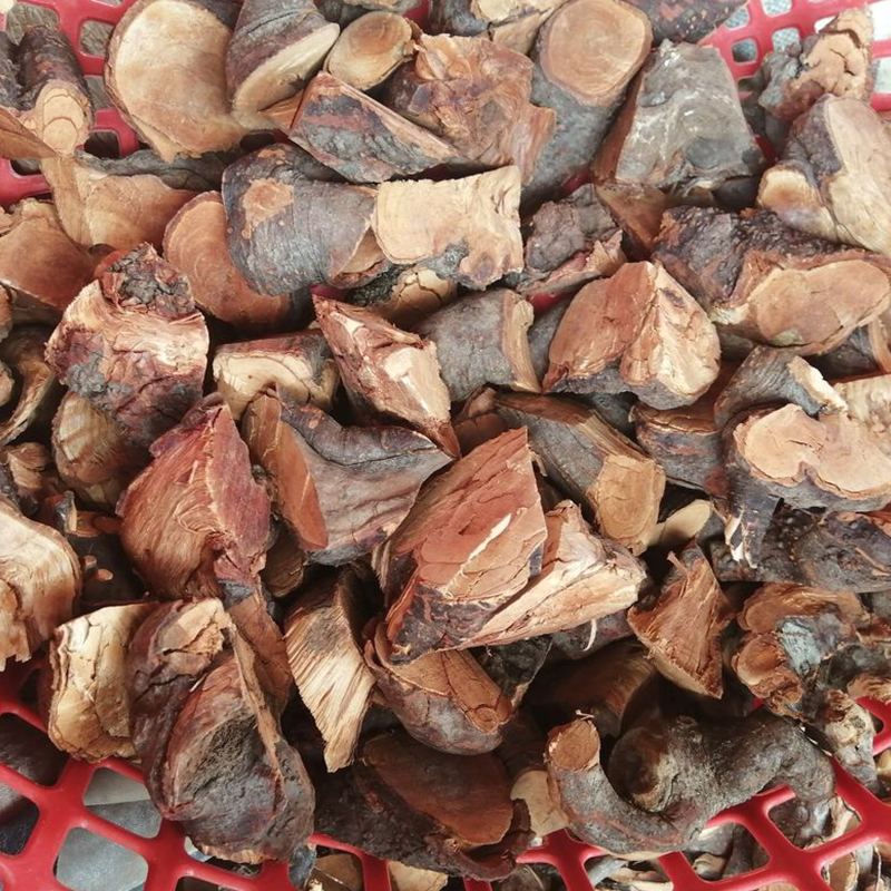 Rễ mú từn chuẩn 100% [1KG] - DB118
