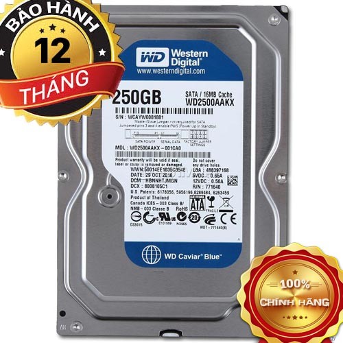 HDD 250G Western Blue – sata - HDD 250G