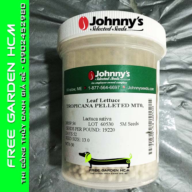 COMBO 1000 HẠT GIỐNG XÀ LÁCH BỌC MEN TROPICANA (nhiệt đới) – Johnny’s Seed – Mỹ