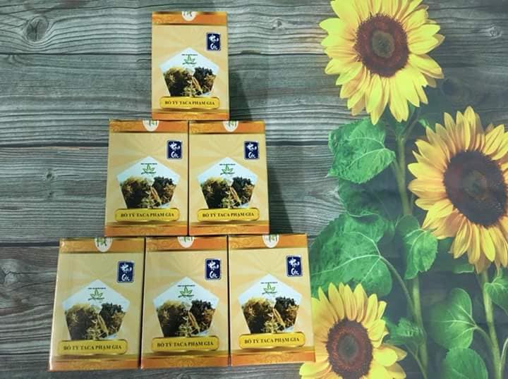 BỔ TỲ TACA PHẠM GIA SỈ VÀ LẺ