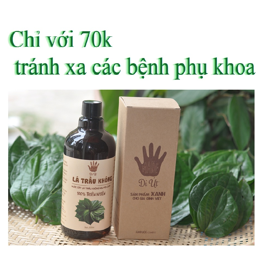 Hydrosol lá trầu không nguyên chất