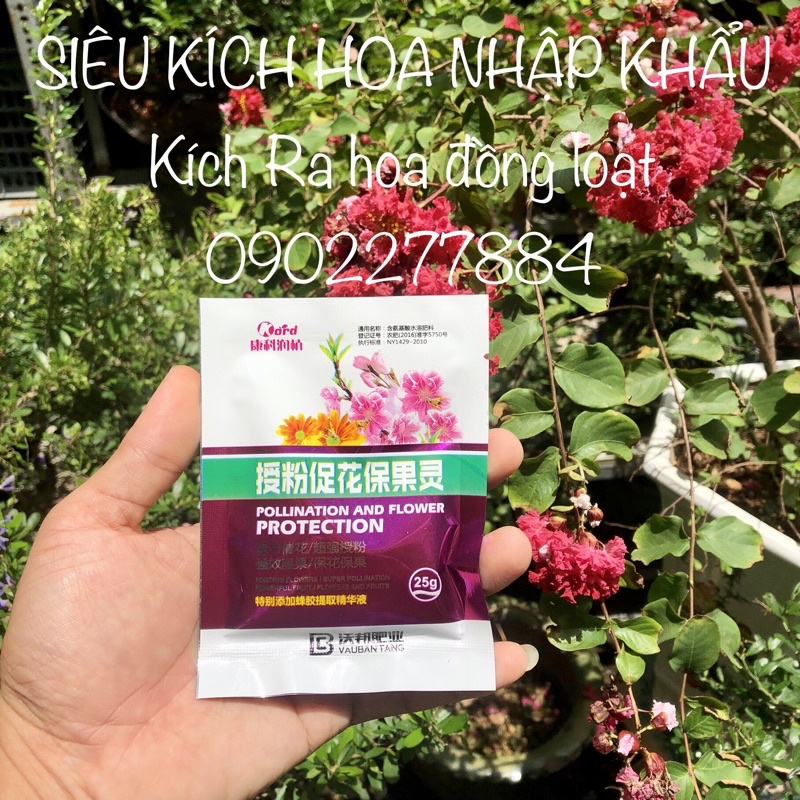 Siêu kích hoa