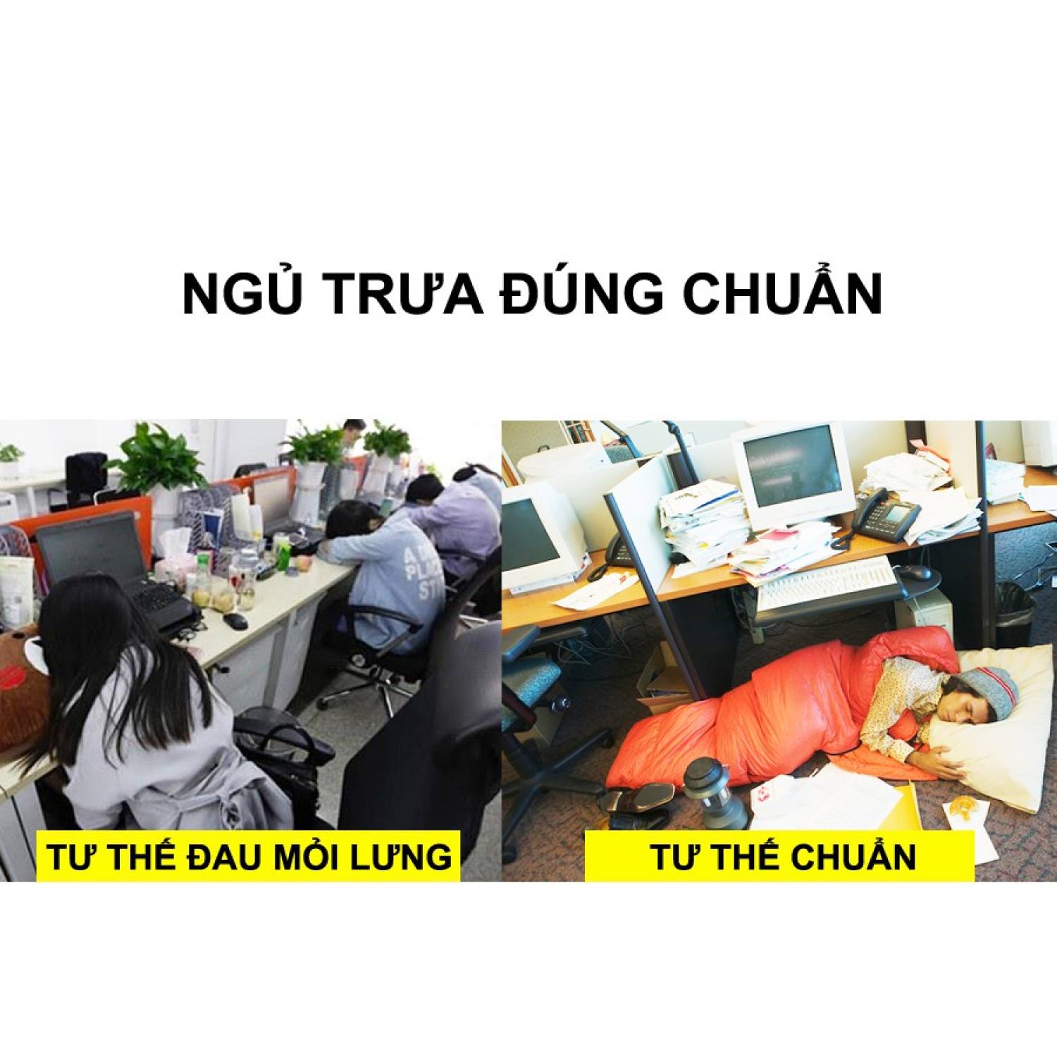 Túi Ngủ Văn Phòng Hàn Quốc Dầy Dặn