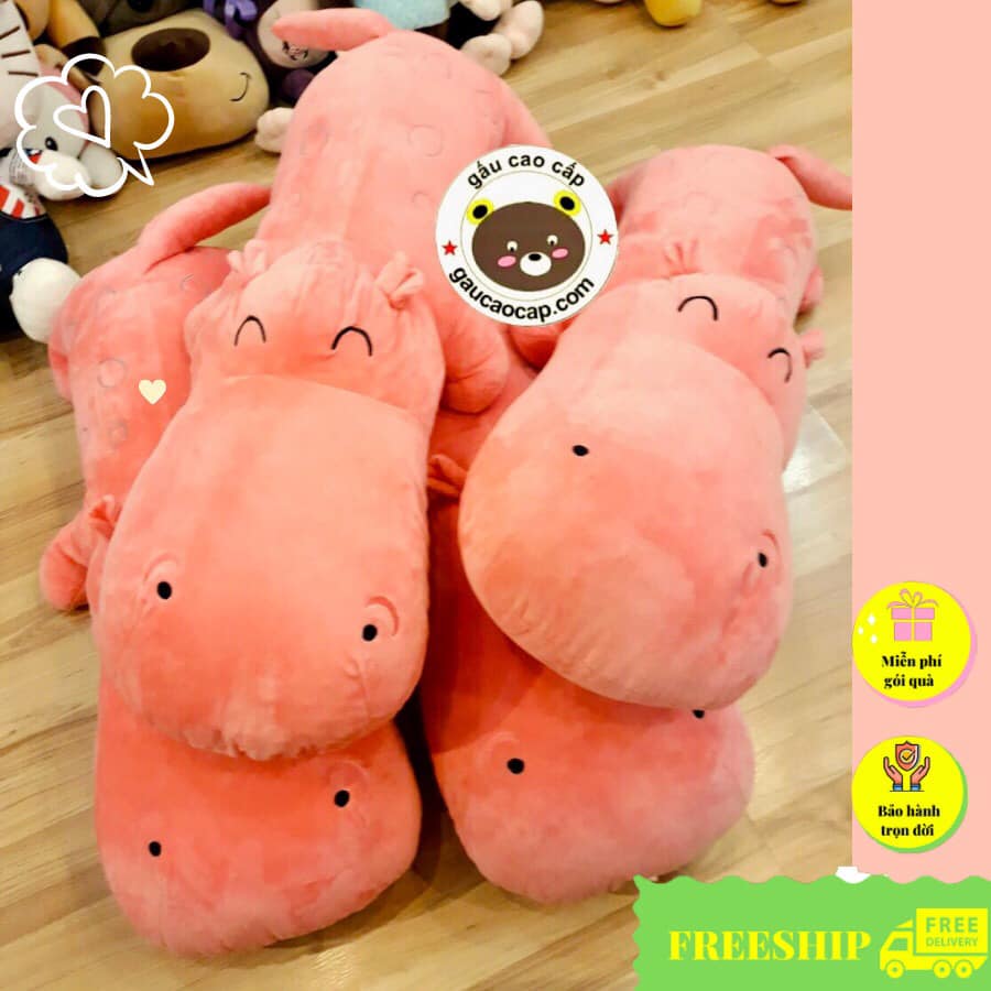[FREESHIP ]GẤU BÔNG HÀ MÃ NẰMV