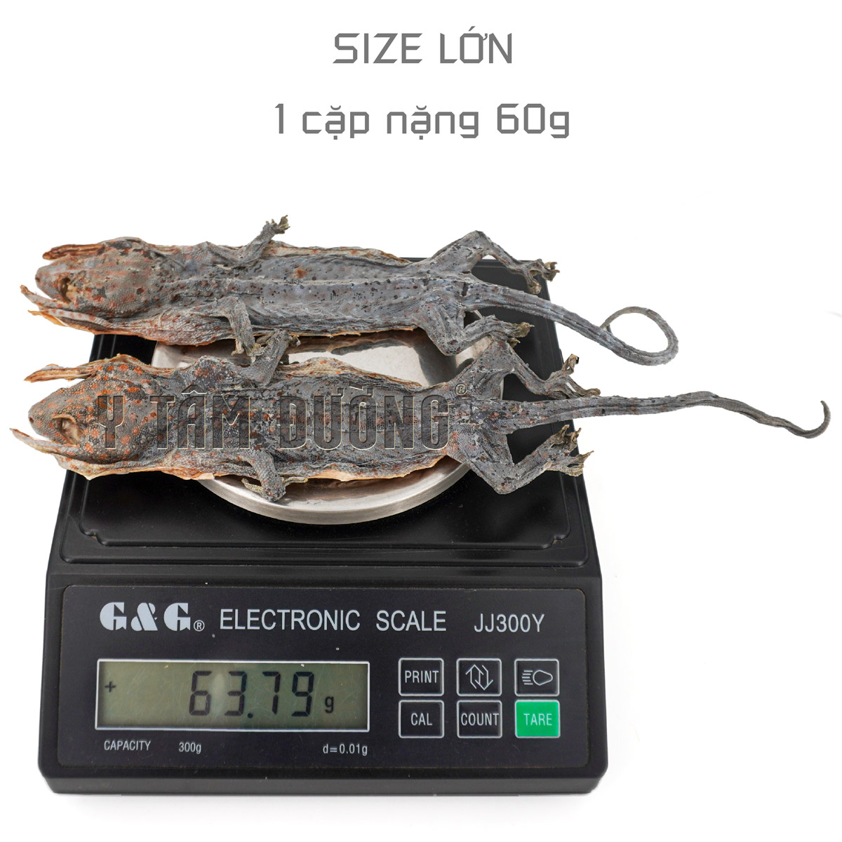 Tắc kè khô thượng phẩm - 1cặp gồm 2con