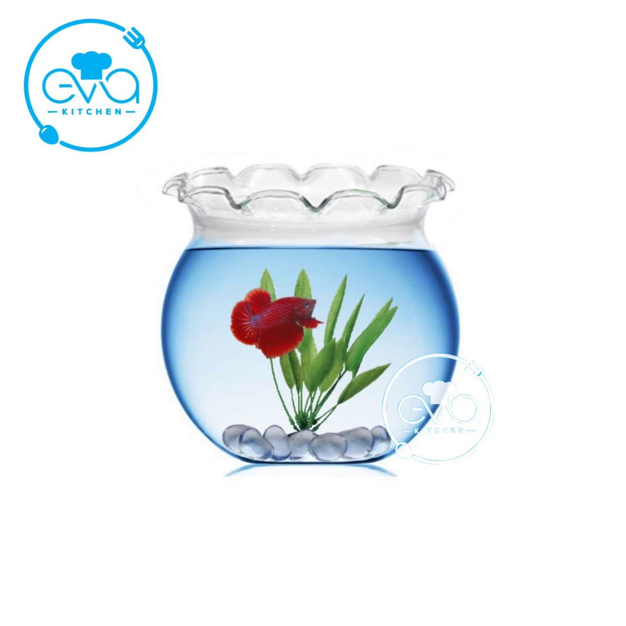 Hồ Cá Bể Cá Có Miệng Bèo Thuỷ Tinh Mini B4 7 x 10 Cm Tặng Kèm Sỏi Và Rong Trang Trí