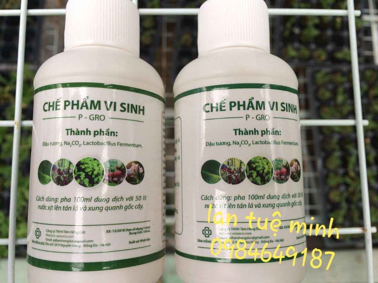 Chế phẩm vi sinh từ đậu tương P-GRO 100ml