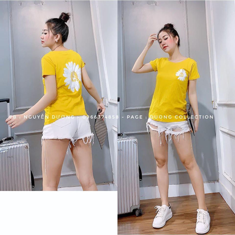Áo phông hình hoa CÚC HỌA MI