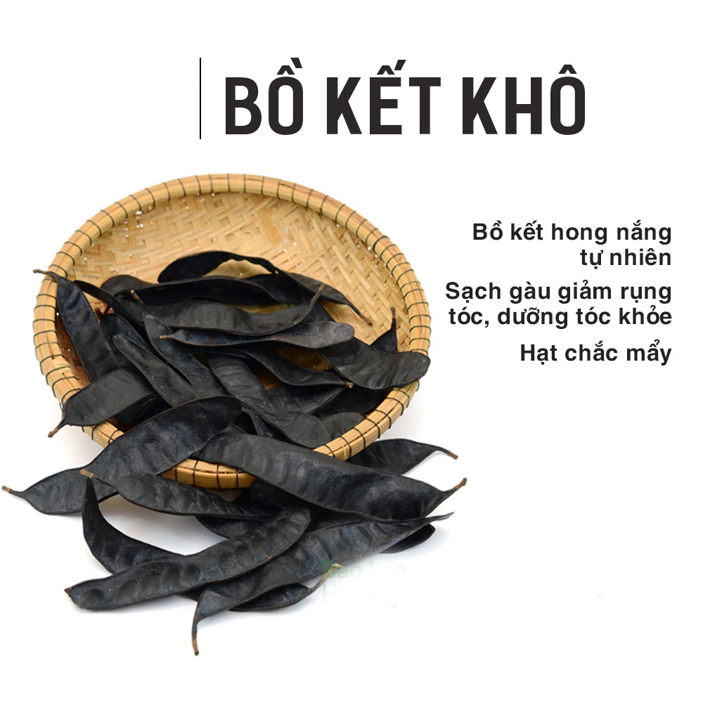 Quả bồ kết khô 1kg - Thảo Dược Tấn Phát