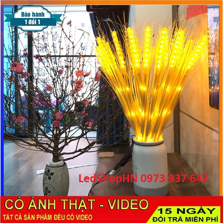 [15 CÁI] Combo bó 15 đèn, bó 10 đèn led bông lúa trang trí tết, đèn bông lúa thần tài