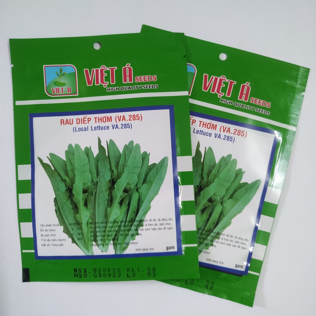 Hạt Giống Rau Diếp Thơm 5gr