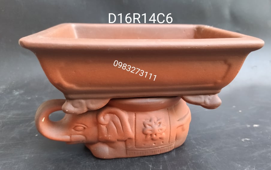 chậu gốm bonsai