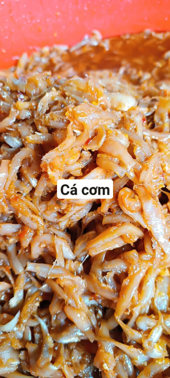 MẮM CÁ CƠM (ĐẶC SẢN MIỀN TÂY)