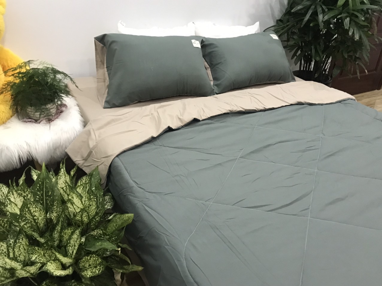 Bộ Chăn Ga Gối Cotton TiCi ( gồm 1 chăn hè đã chần bông, 1 ga và 2 vỏ gôi nằm )
