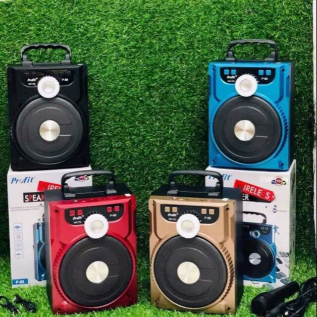 LOA KARAOKE BLUETOOTH PROFIT P88 89 ( TẶNG KÈM MIC CÓ DÂY)
