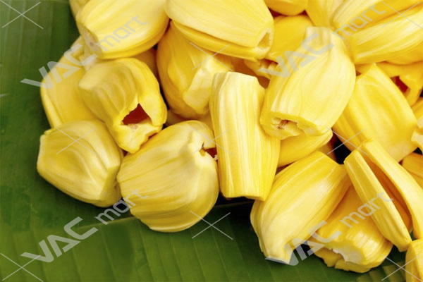 cây mít thái siêu xớm - FREE SHIP TỪ 50K