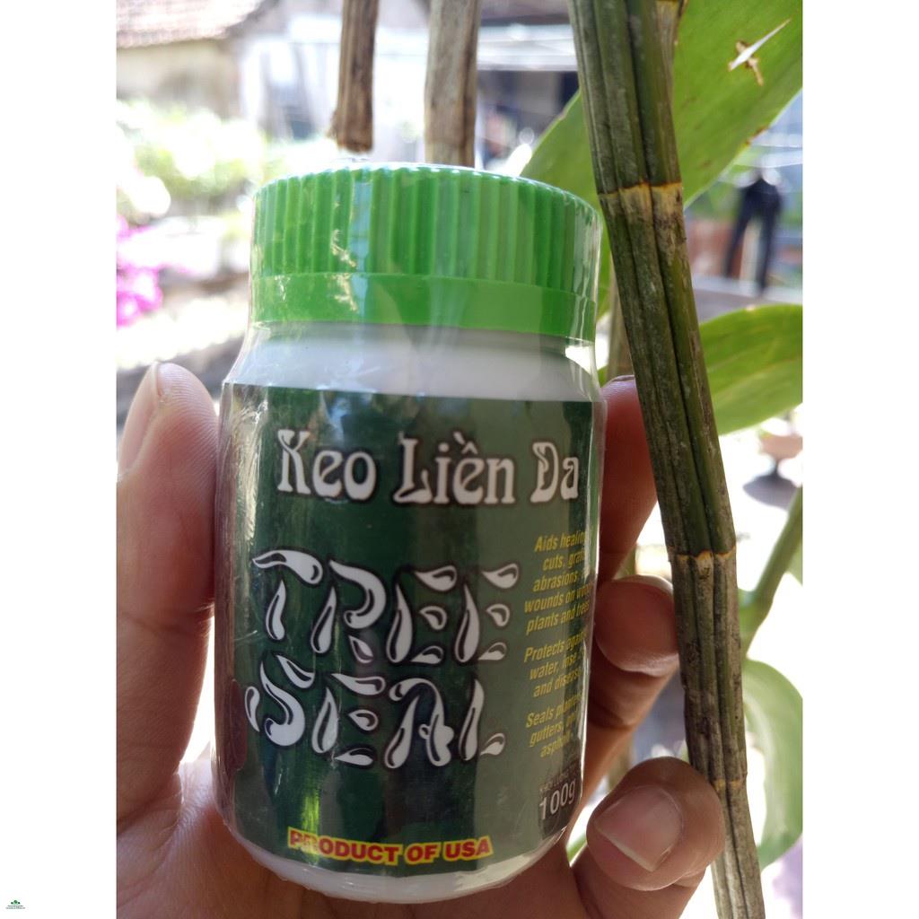 Keo Liền Sẹo cây Mỹ Morrison 100gram