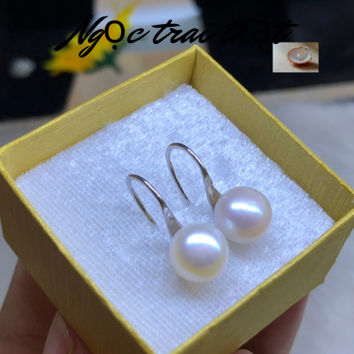 Hoa tai ngọc trai thật kiểu móc ngọc 9mm