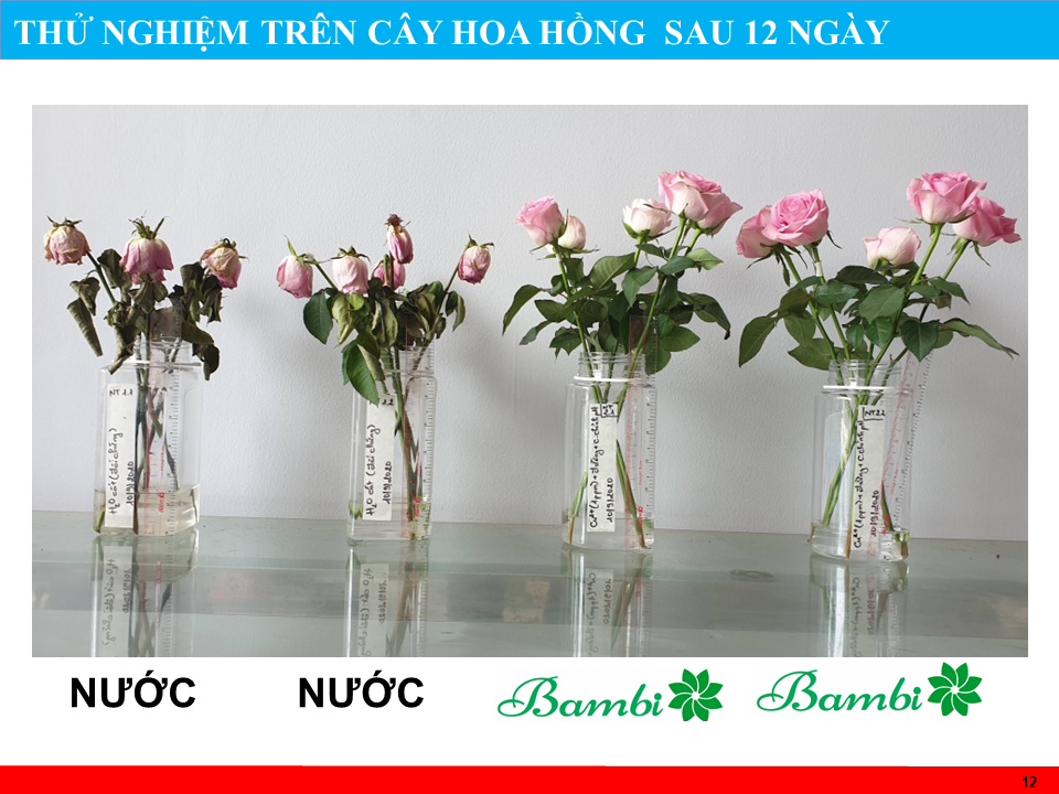 [GIÁ SỈ] Combo 2 chai nước dưỡng hoa 900ml