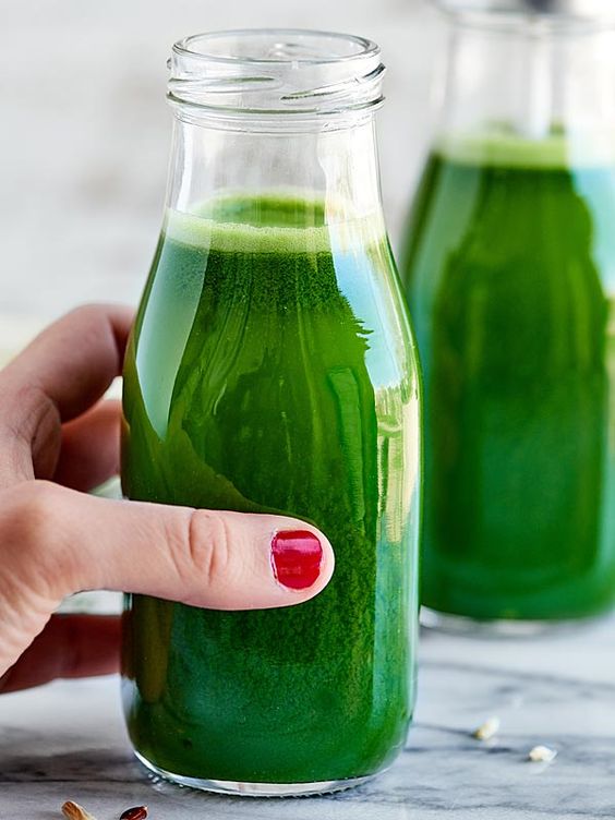Bột diếp cá sấy lạnh