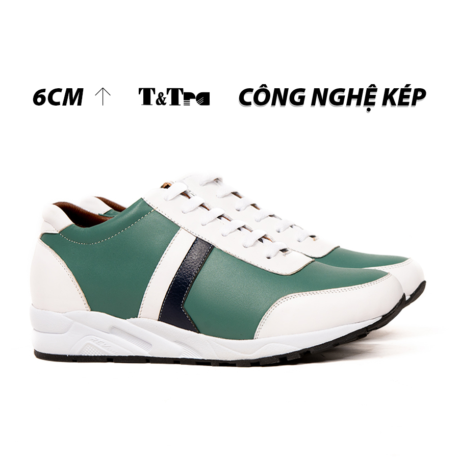 Shoes high male T & check T29 White