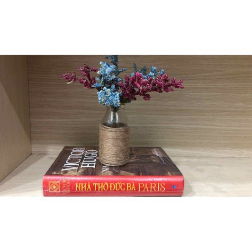Nhà Thờ Đức Bà Paris (Bìa Cứng)