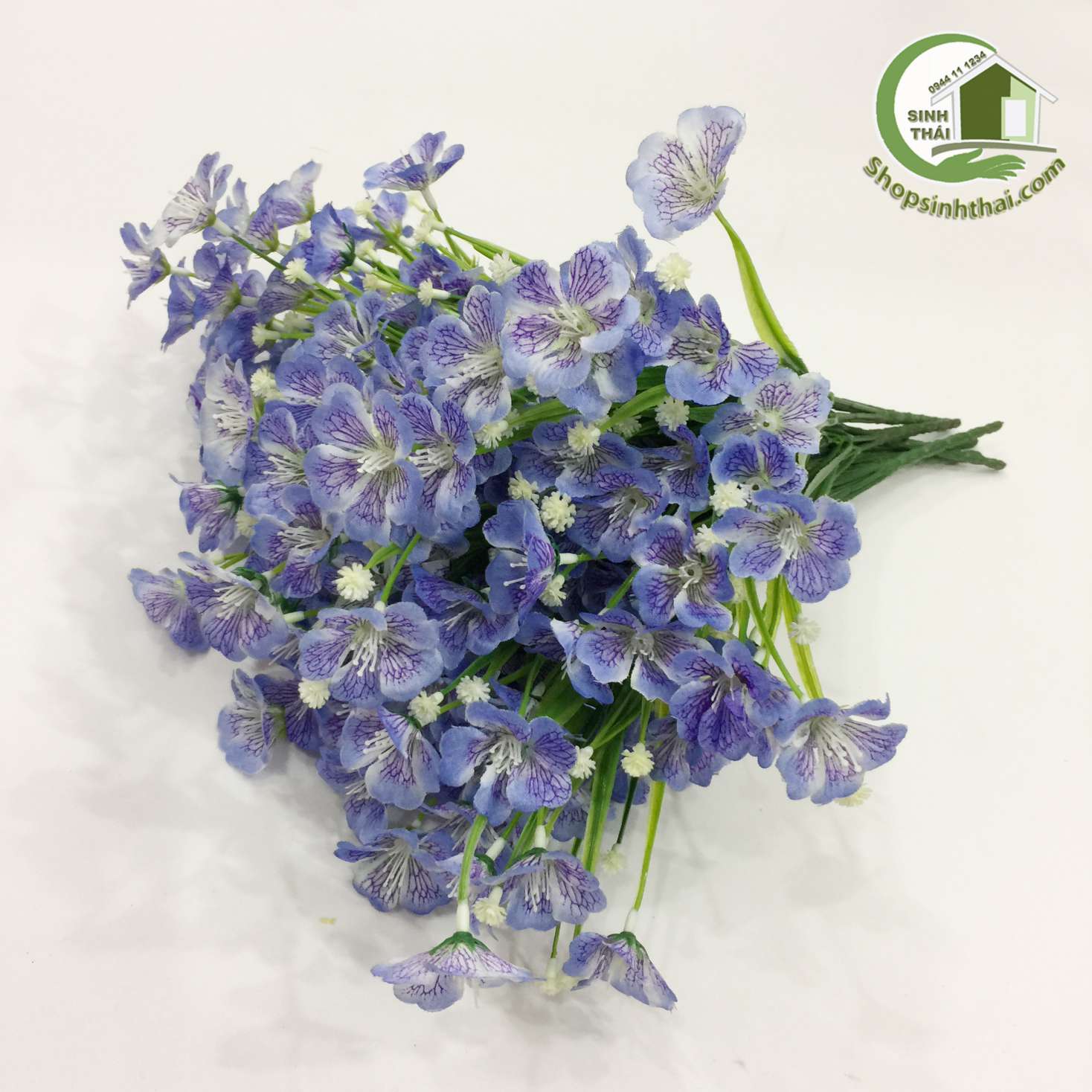 [HCM]Bụi hoa cánh bướm màu tím