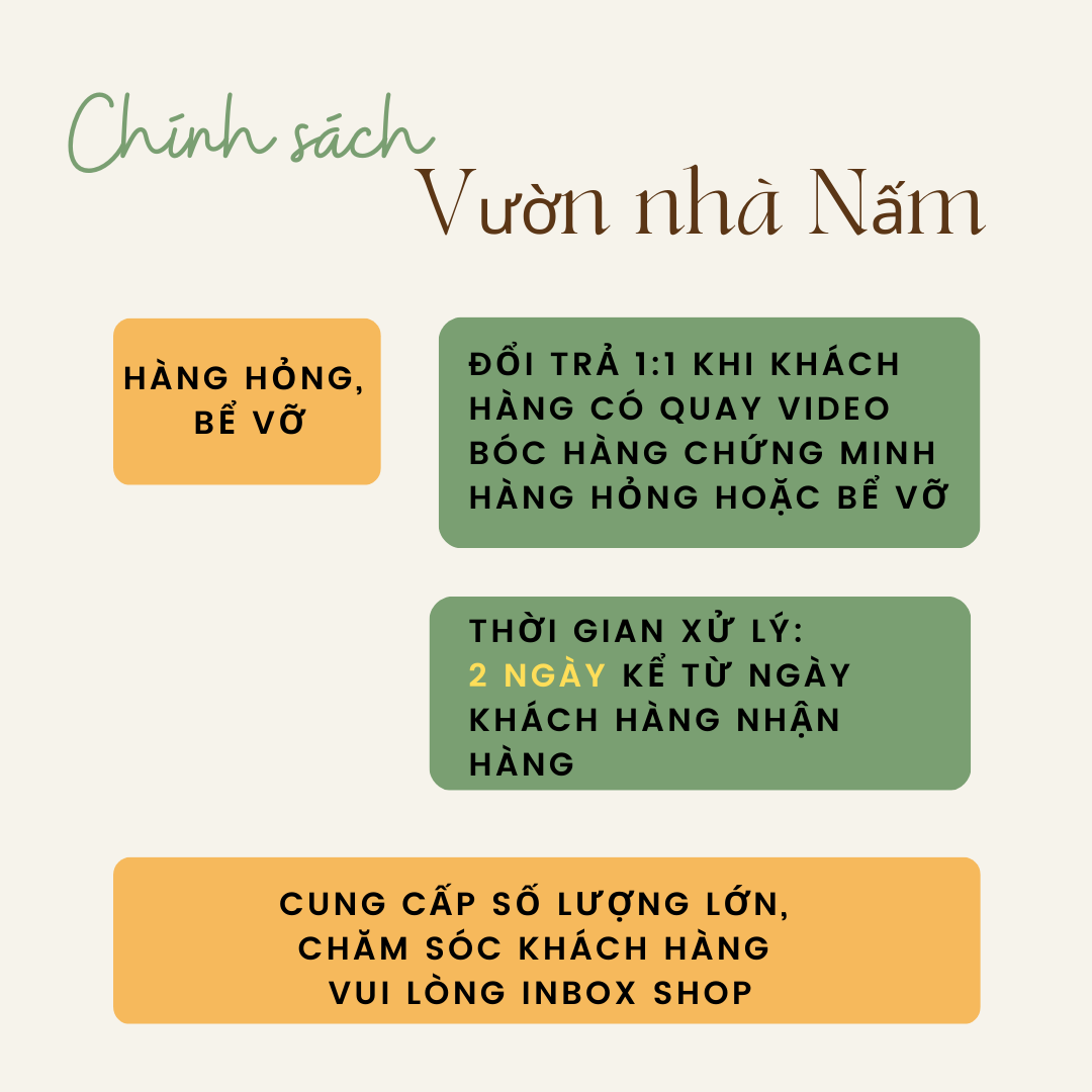 [Có sẵn] Bộ bát thìa hoa quả dễ thương, bát ăn dặm cho bé