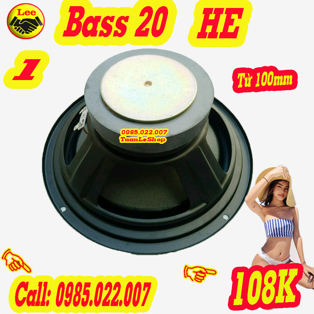 LOA BASS 20 TỪ 100 – GIÁ 01 CỦ LOA