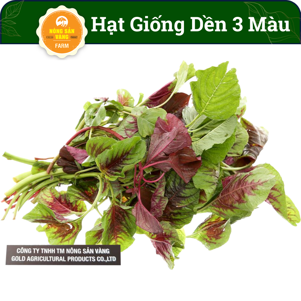 Seeds amaranth seeds, germination rate high, growth and development, high yield crop year round -shallow gold