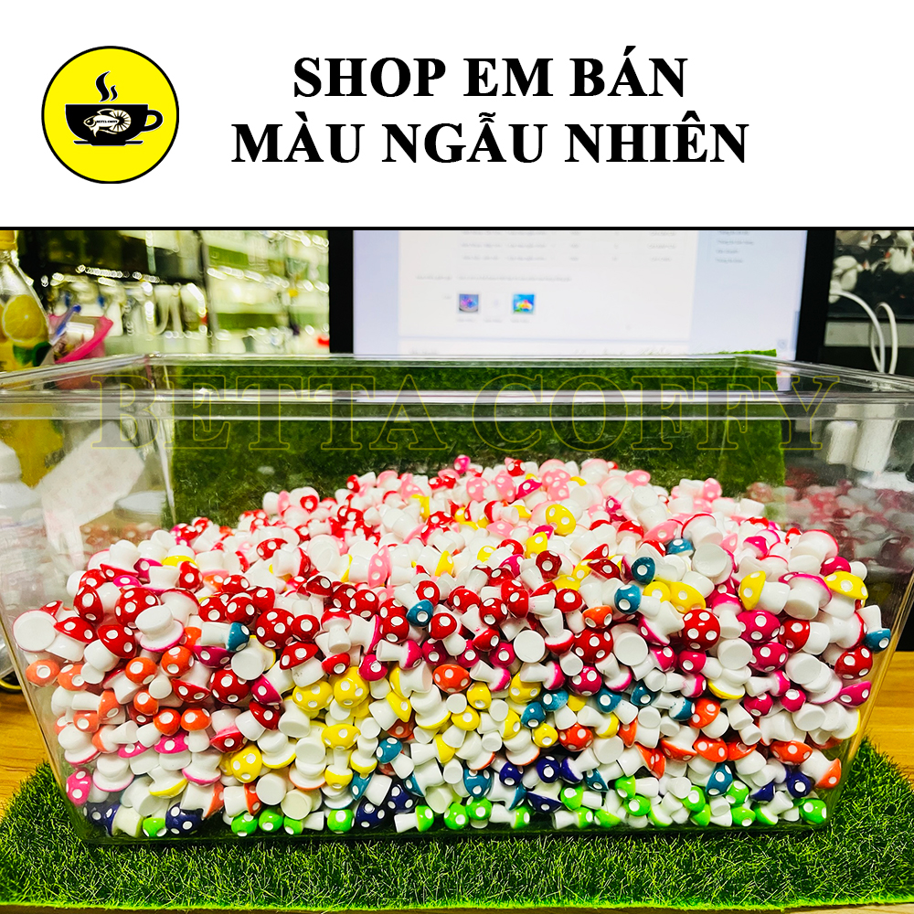 Cây Nấm Mini Dùng trang trí tiểu cảnh sân vườn, terrarium