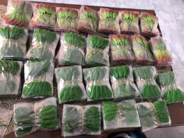 Clay Flower Leaves / Apricot Leaves / Clay Apricot Leaves 25K/10 Pieces
