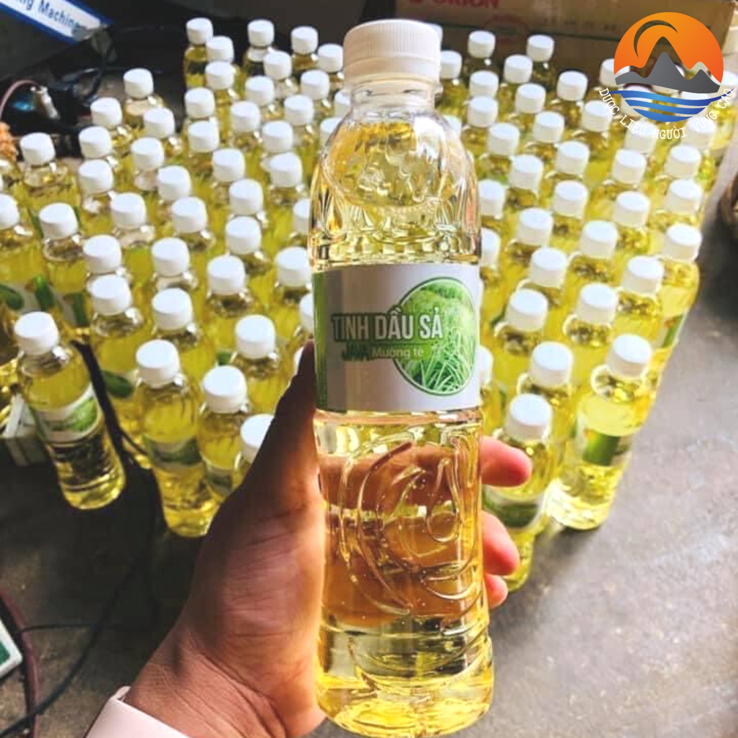 Tinh dầu sả java nguyên chất chưng cất thủ công thơm, khử mùi, đuổi côn trùng - Tinh dầu xả xã Java Mường Tè