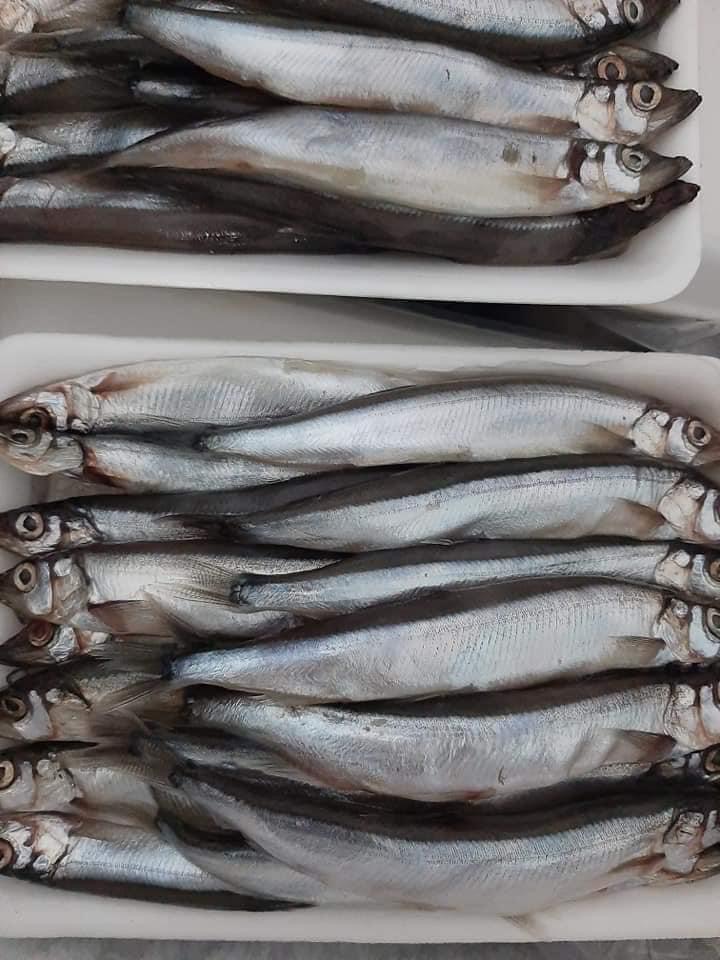 CÁ trứng vĩ 200gr (giao tphcm)