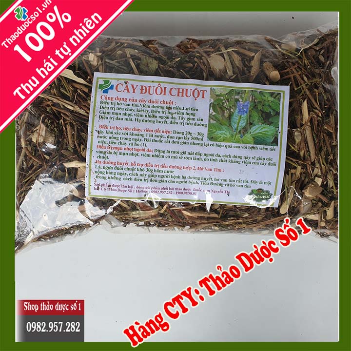 Cây đuôi chuột (1kg khô) - Hàng CTY Thaoduocso1