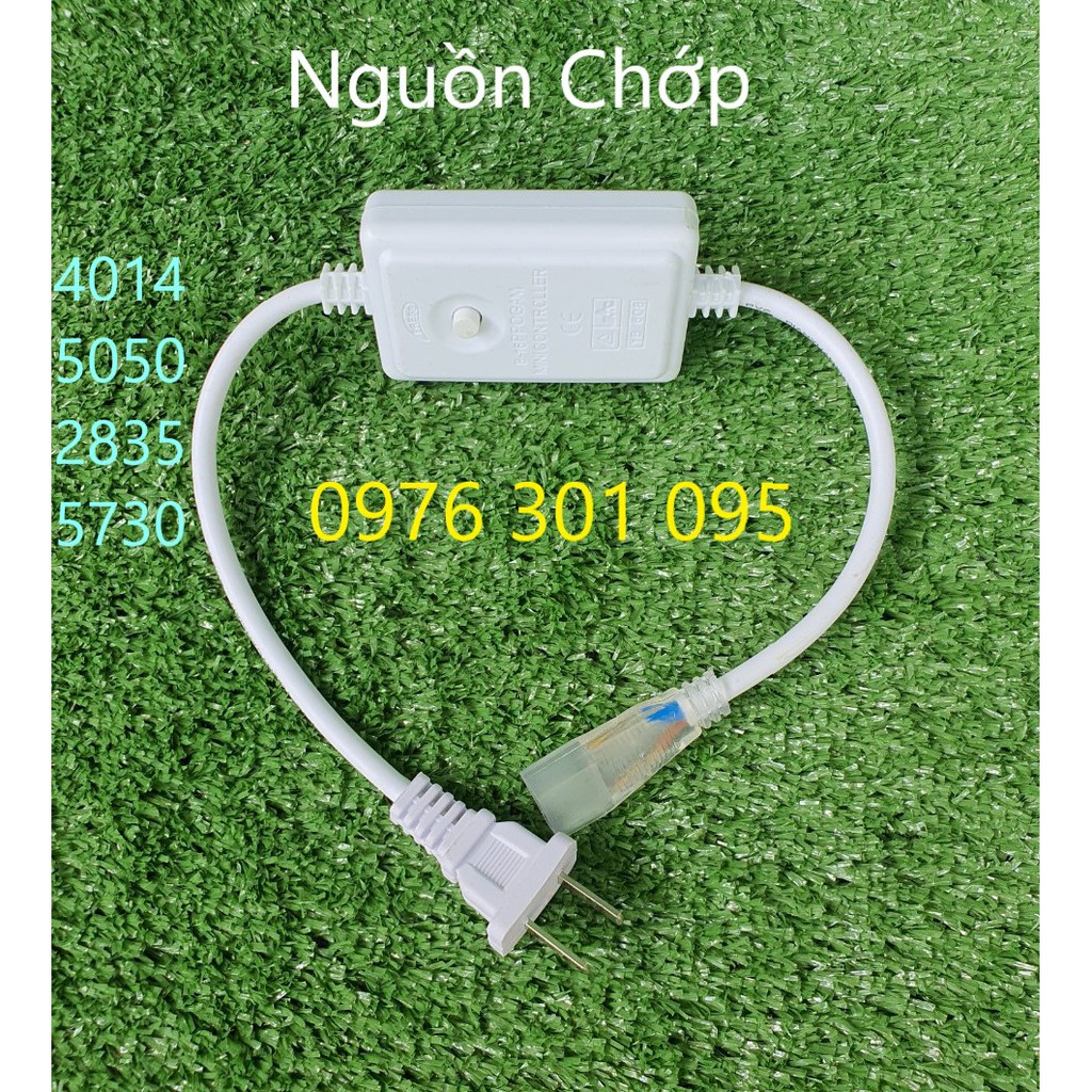 Dây Nguồn Đèn Led Dây 5050 - 2835 - 5730