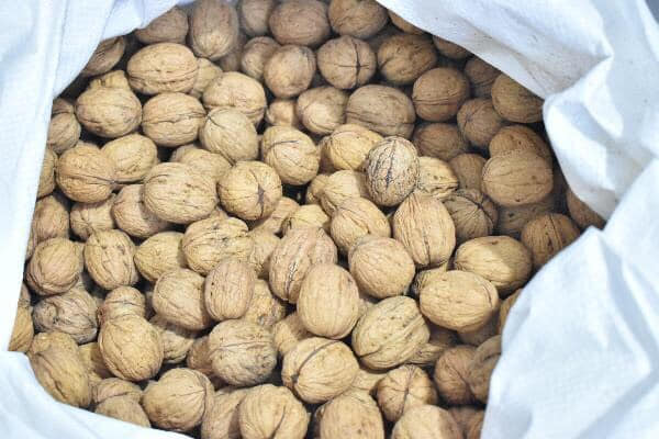 Quả óc chó vàng Mỹ ( 500gr)