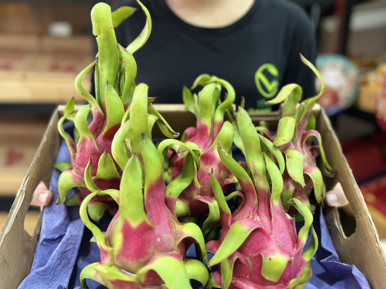 VG FARM Thanh Long Ruột Đỏ