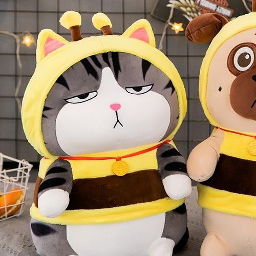 Gấu bông mèo hoàng thượng đội lốt ong, thú bông nhập khẩu cao cấp