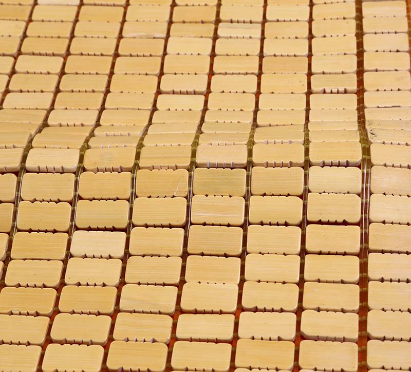 CHIẾU TRÚC HẠT NHỎ NÂU
