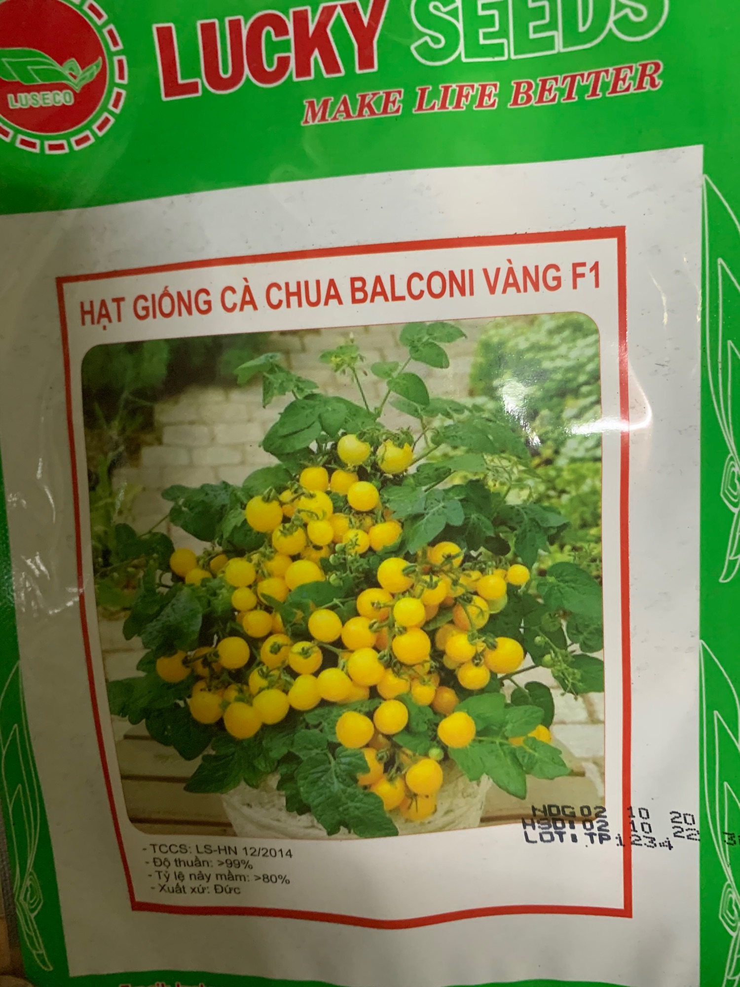 Hạt giống cà chua bi vàng lùn