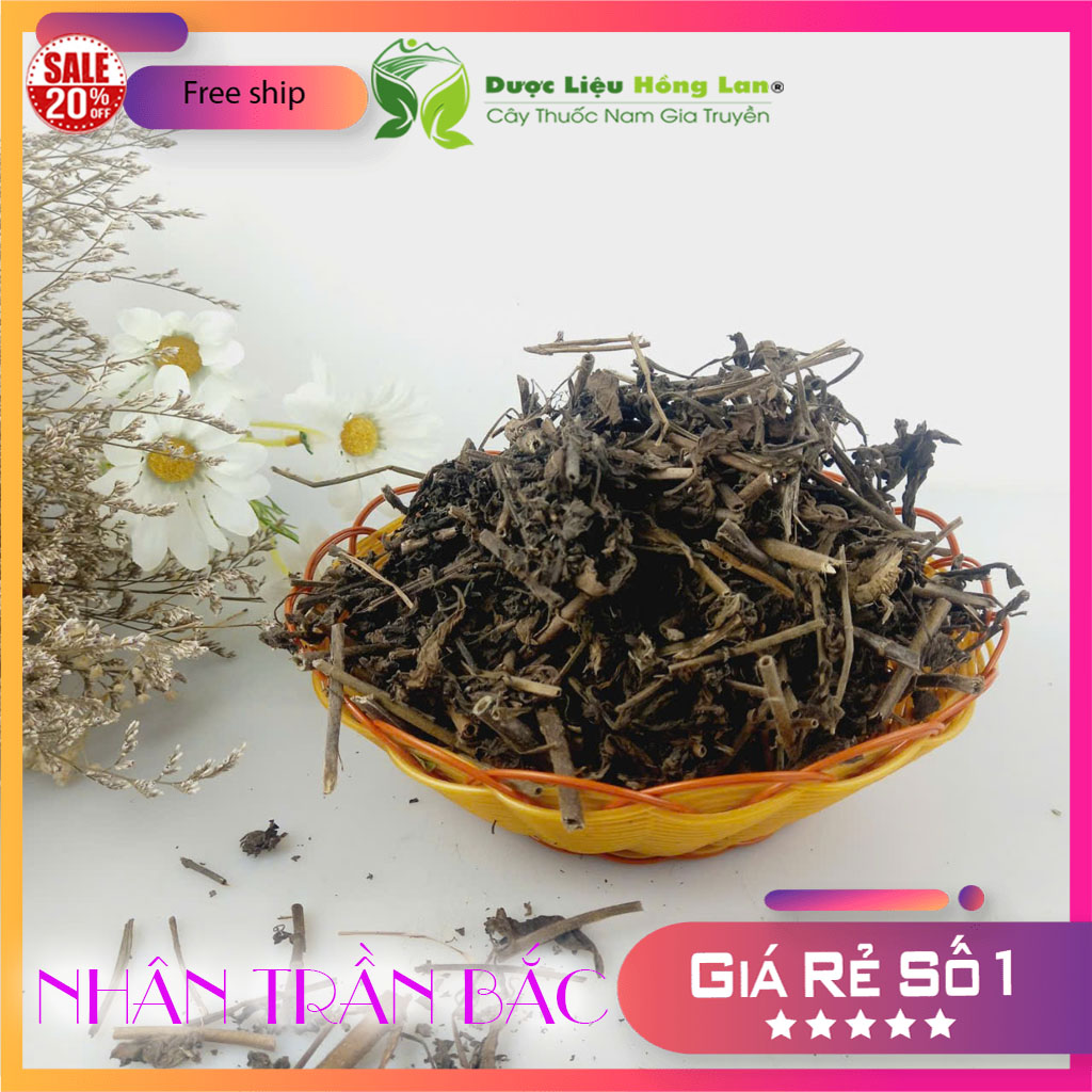 [FreeshipMAX] Cây Nhân Trần Khô 1kg