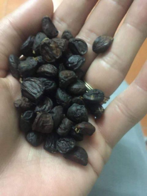 Hạt Dổi Nếp 100gr