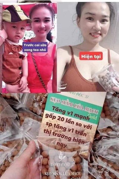 Kẹo mầm lúa mạch 37 Gold Thảo Mộc 37 Chính hãng