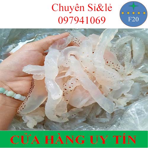 SỨA BIỂN 1KG - SỨA BIỂN ĂN LIỀN/ LÀM GỎI