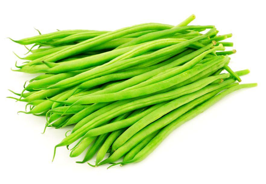 Gói 20g hạt giống đậu cove hạt trắng dạng bụi sinh trưởng khỏe phát triển mạnh mẽ tỉ lệ nảy mầm cao Thế Giới Rau Mầm Shop