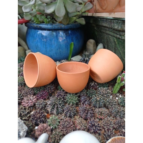 Chậu đất nung Bình Dương chậu trứng miệng 9.5 x cao 7