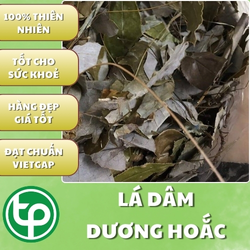 Dâm Dương Hoắc Large Bag 500 Grams - Tons Shipped - Specialized for Making Tea or Soaking in Wine to Improve Men's Health